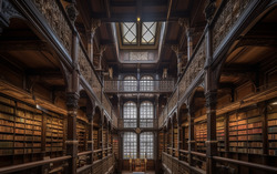 A photograph portraying the captivating atmosphere of a hi