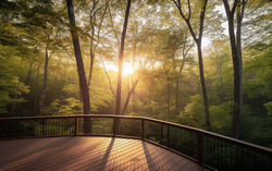 A photograph portraying a tranquil scene from a wooden dec